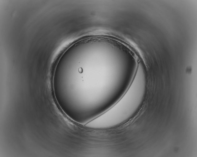 X0000095891464200801110817