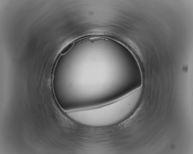 X0000095891465200801110817