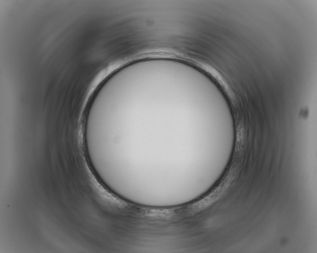 X0000095891466200801110817
