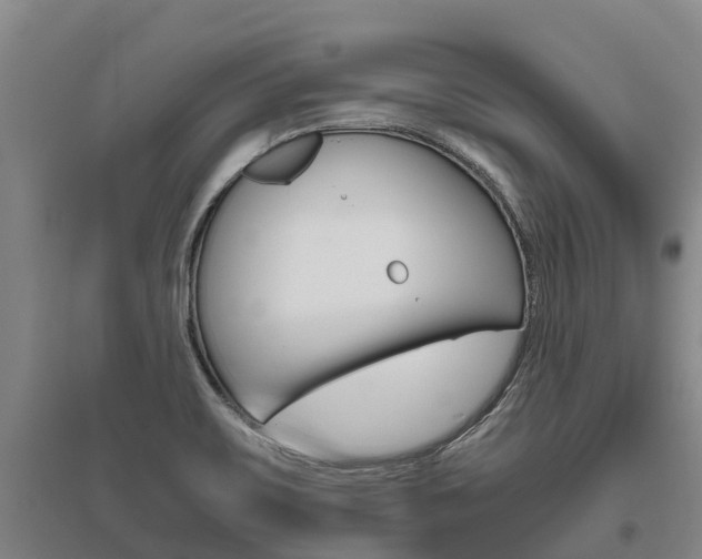 X0000095891467200801110817