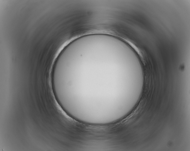 X0000095891468200801110817