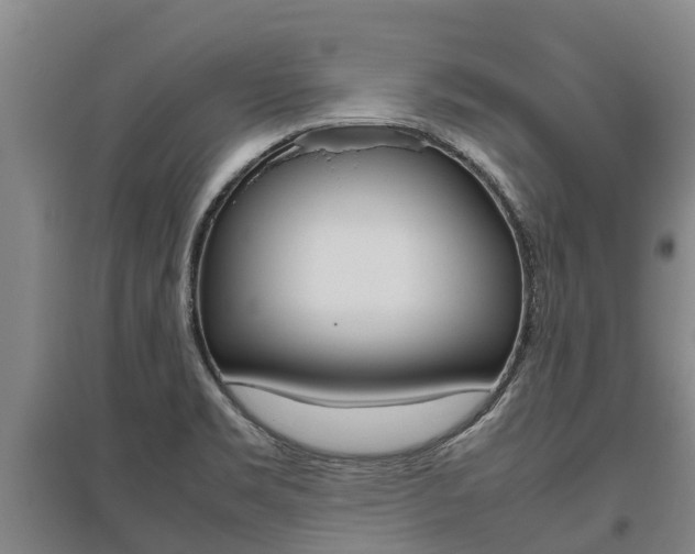 X0000095891469200801110817