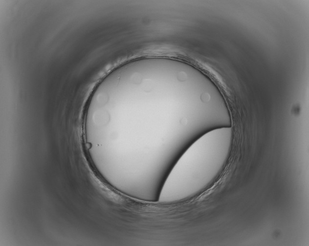 X0000095891471200801110817