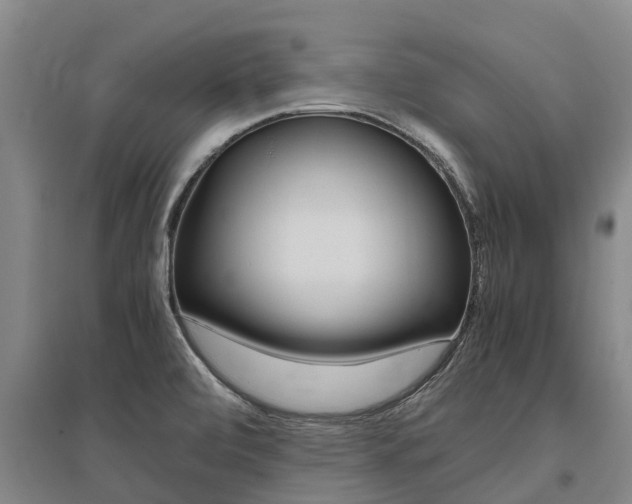X0000095891472200801110817