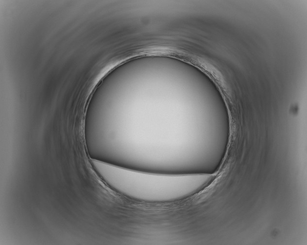 X0000095891473200801110817