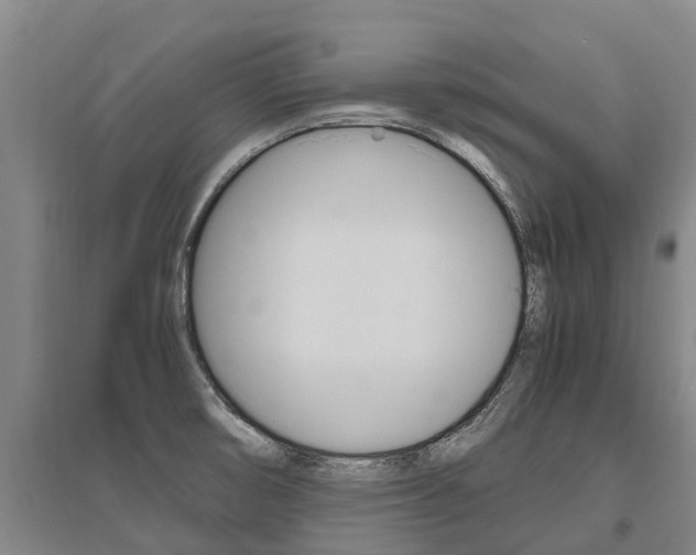 X0000095891474200801110817