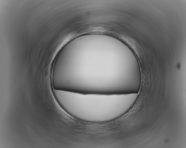 X0000095891475200801110817