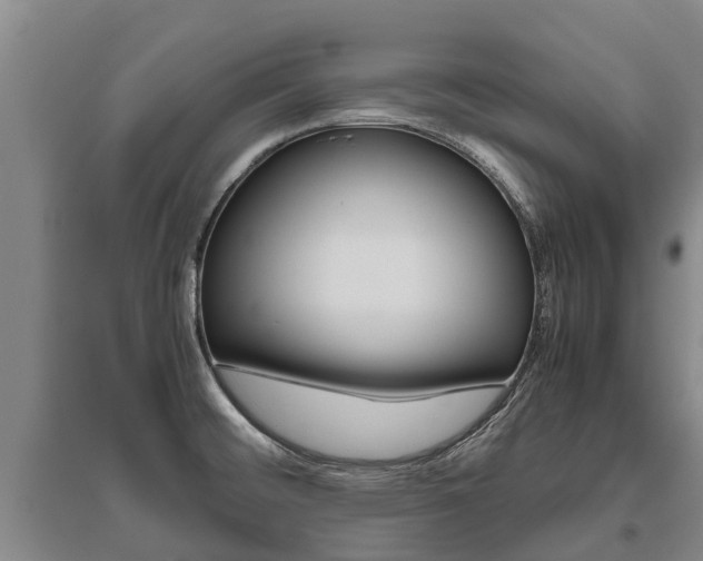 X0000095891476200801110817