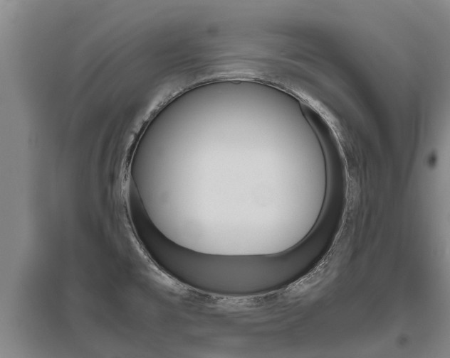 X0000095891477200801110817