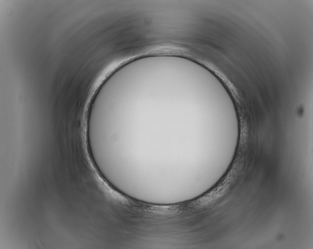 X0000095891478200801110817