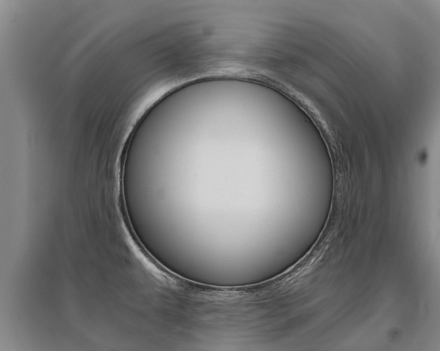 X0000095891479200801110817