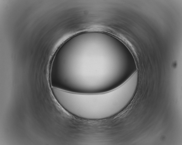 X0000095891480200801110817