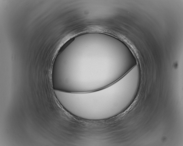 X0000095891481200801110817
