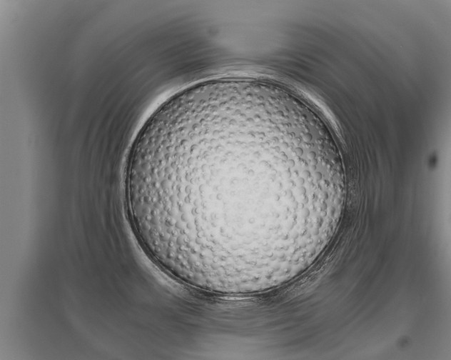 X0000095891483200801110817