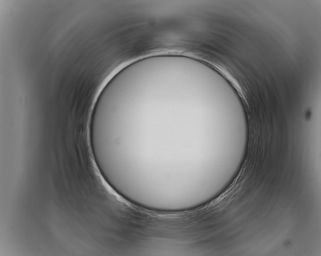 X0000095891484200801110817