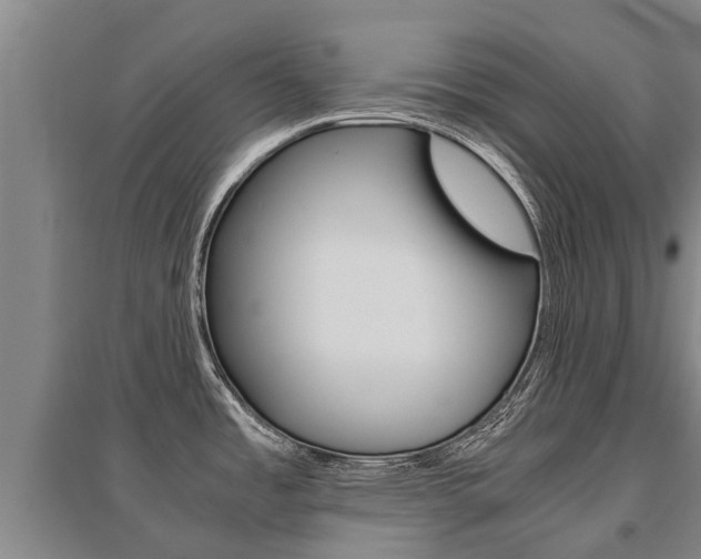 X0000095891485200801110817