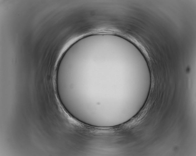 X0000095891486200801110817