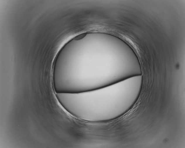 X0000095891487200801110817