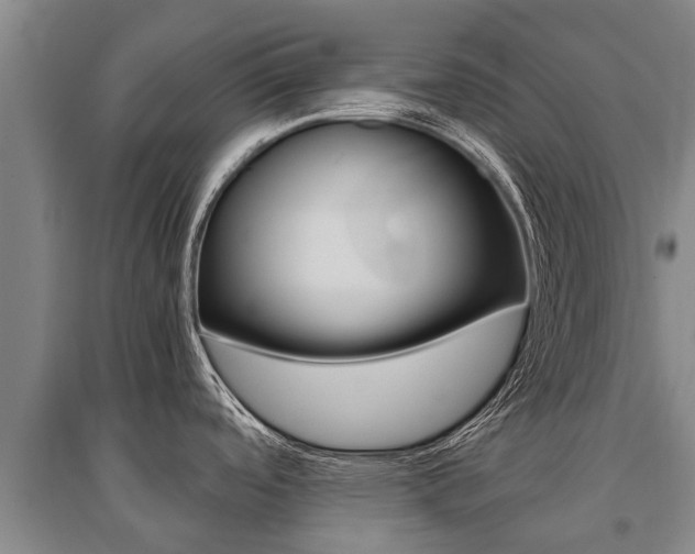 X0000095891488200801110817