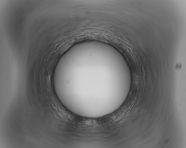 X0000095891489200801110816