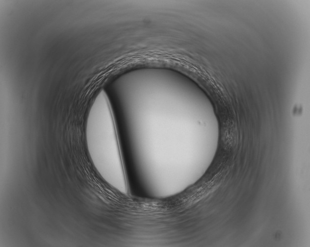 X0000095891490200801110816