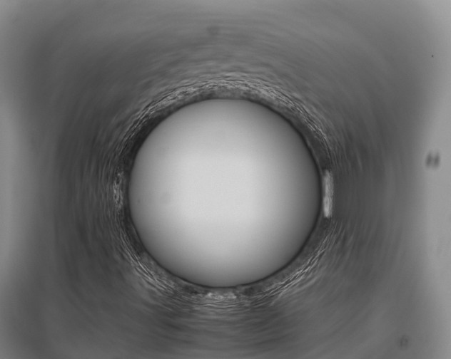 X0000095891491200801110816