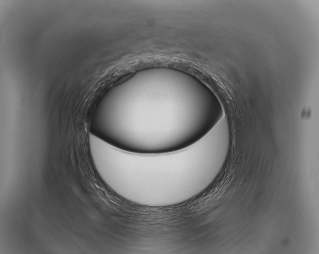 X0000095891492200801110816