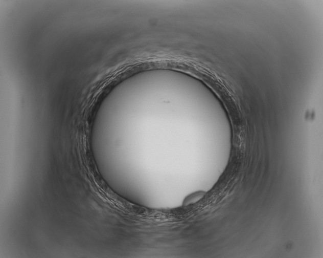 X0000095891493200801110816