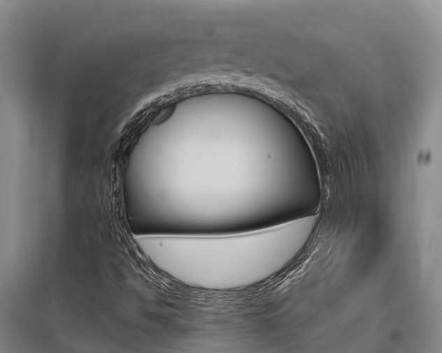 X0000095891494200801110816