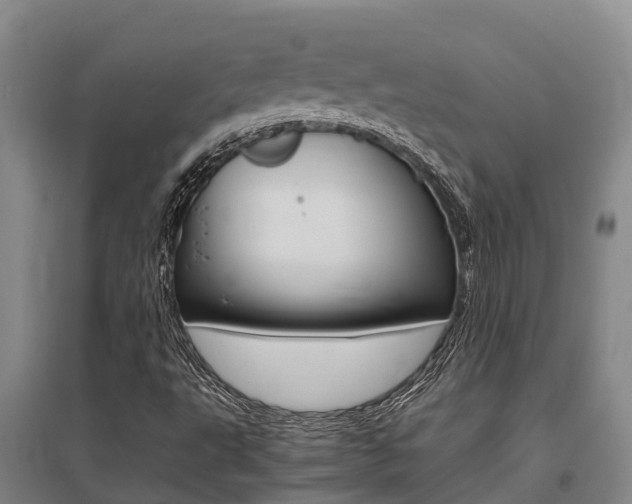 X0000095891495200801110816
