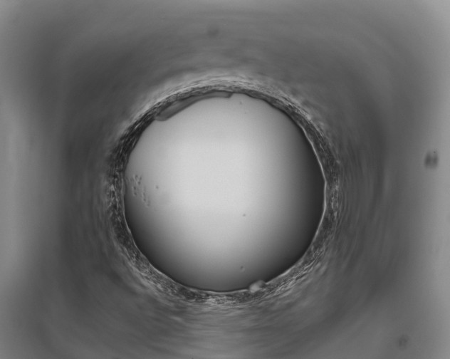 X0000095891496200801110816