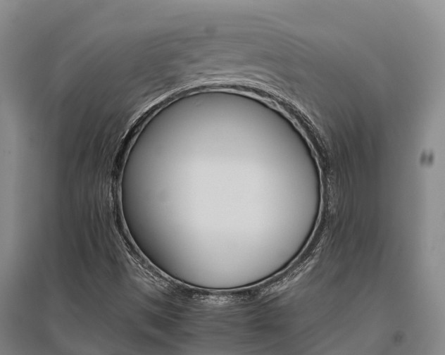 X0000095891497200801110816