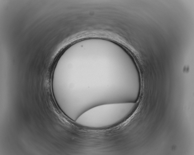 X0000095891498200801110816