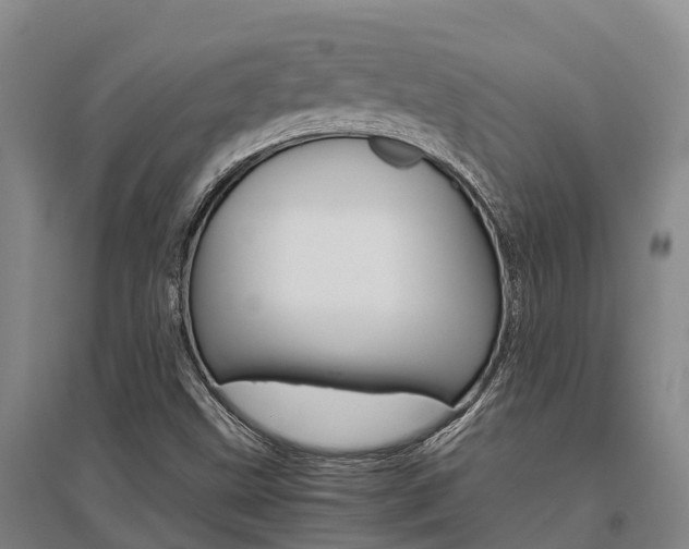 X0000095891499200801110816