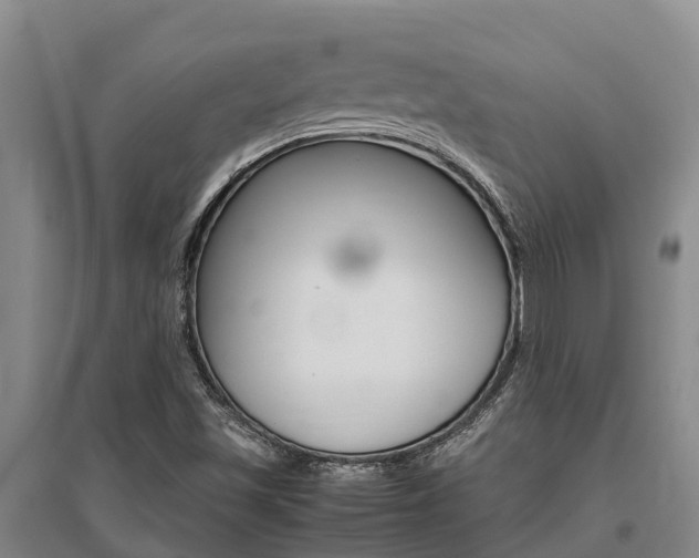 X0000095891501200801110816