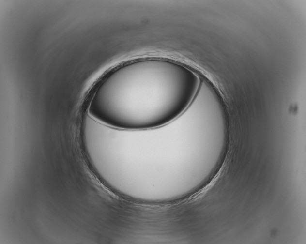 X0000095891502200801110816