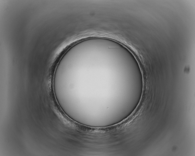 X0000095891503200801110816