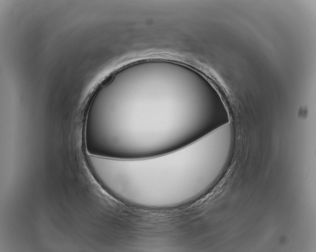 X0000095891504200801110816