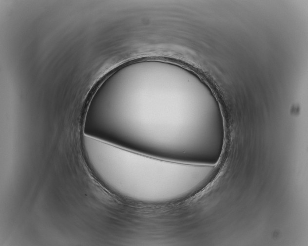 X0000095891505200801110816