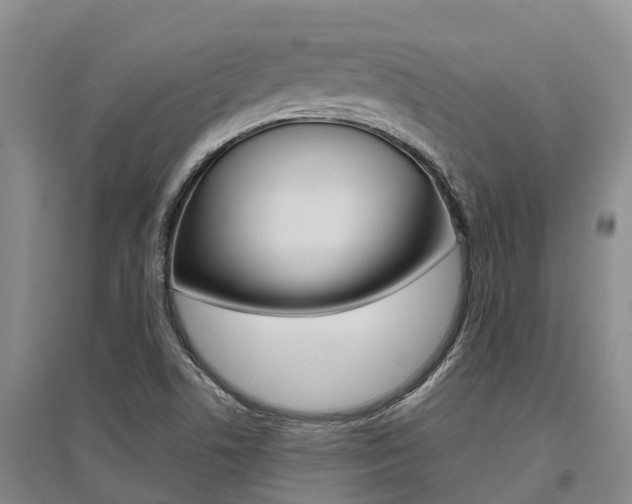 X0000095891506200801110816