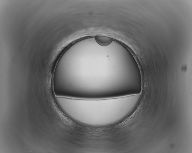 X0000095891507200801110816