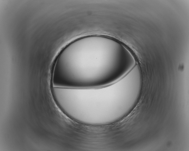 X0000095891508200801110816
