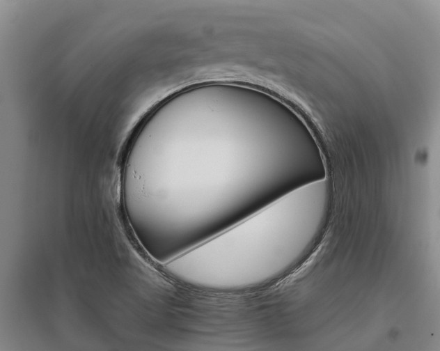 X0000095891509200801110816