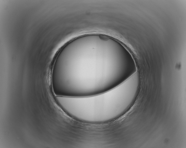 X0000095891510200801110816