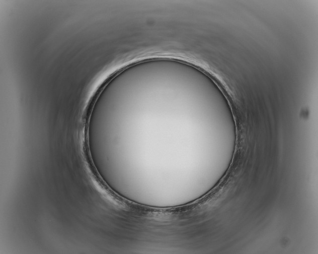 X0000095891511200801110816