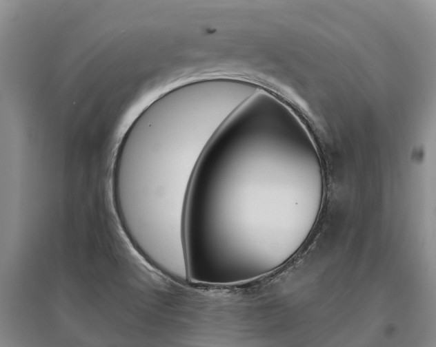 X0000095891512200801110816