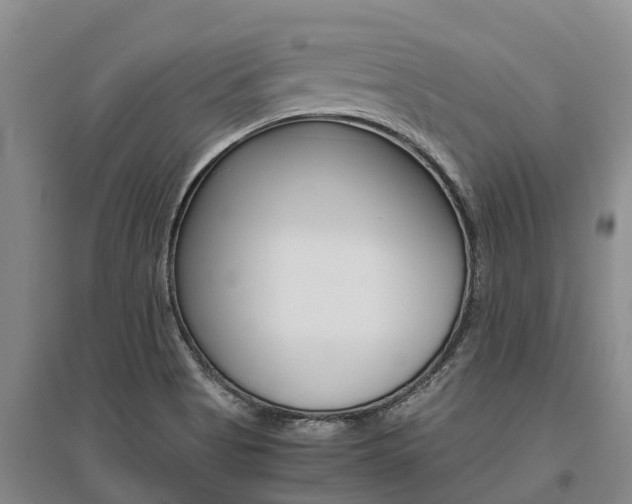 X0000095891513200801110816