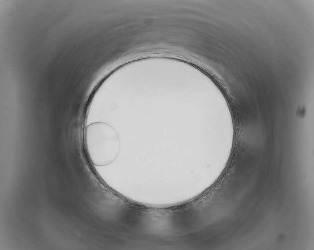 X0000095891514200801110816
