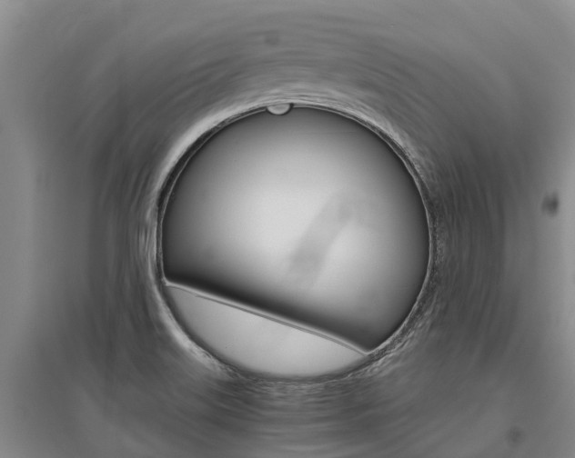 X0000095891515200801110816