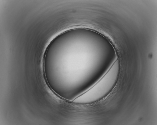 X0000095891516200801110816